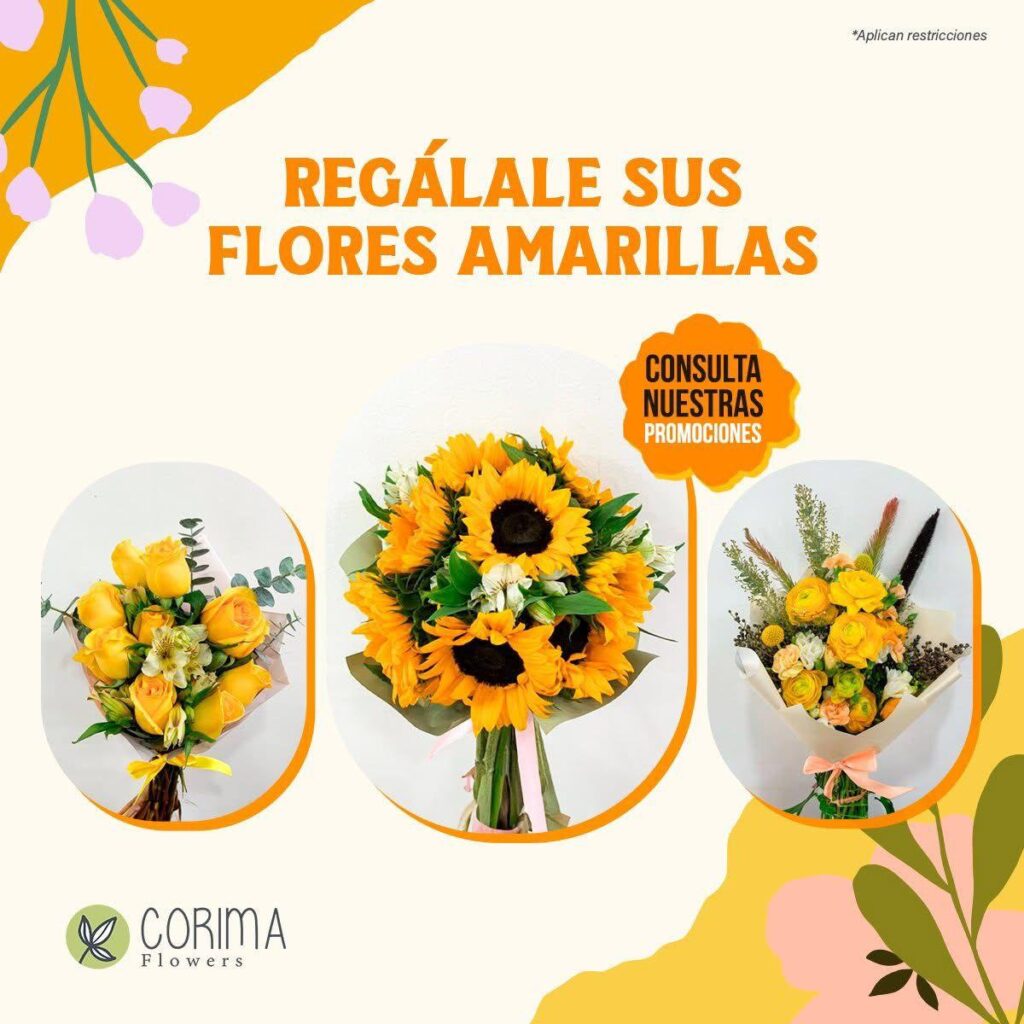 Amarillas 1024x1024
